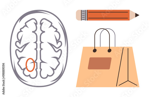 Neuroscience, education, creativity, consumerism, decision-making, shopping habits. A brain scan diagram with a marked area, a pencil and a shopping bag. Neuroscience and consumerism concept
