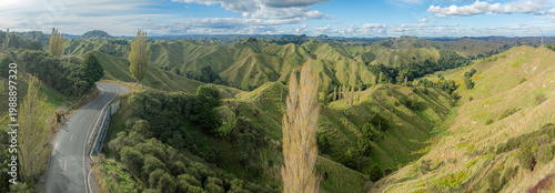 Obraz na plátne A winding road cuts through the rolling green hills of World Forgotten Highway, Tahora Saddle, New Zealand