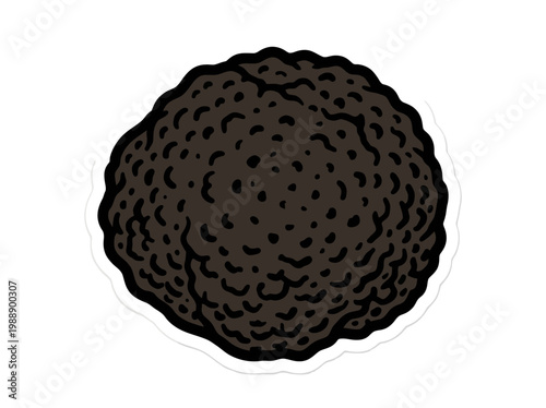 Illustration of a chocolate truffle on a white background with detailed texture and dark brown color.