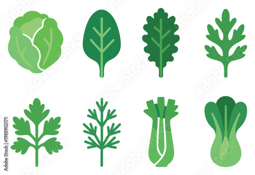 Vegetable icons with cabbage spinach bok choy flat