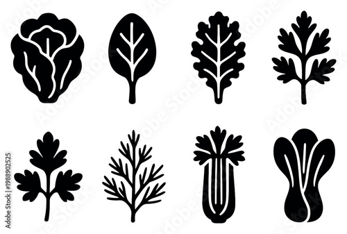 Garden icons with lettuce leaf celery minimal