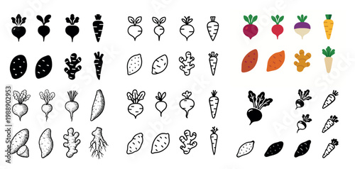 Colorful and black & white root vegetables illustration