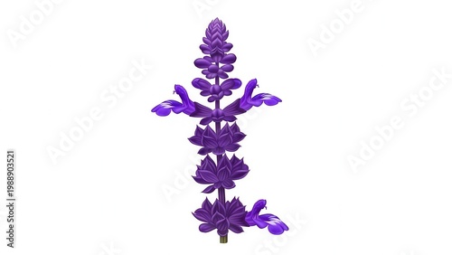 Striking purple bloom illustration with layered petals showcasing botanical elegance isolated on
