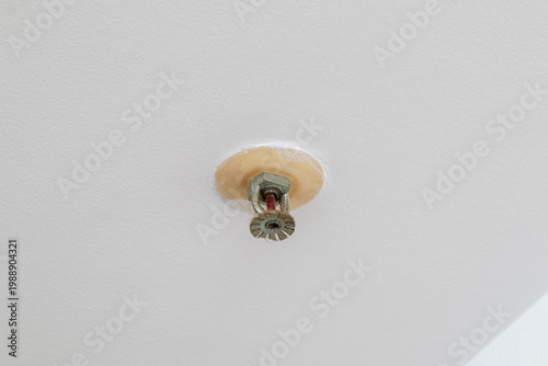Close-up view of a fire sprinkler head installed on a white ceiling for fire protection and safety in a modern building, showing the red heat-sensitive glass bulb and metal deflector
