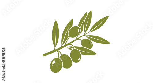 Green Olive Branch with Leaves.