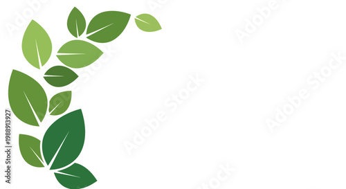 Green leaves on white background.