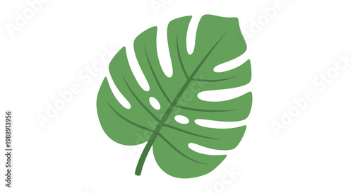 Large green tropical leaf closeup view.