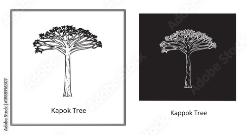 An illustration of Kapok Tree displayed line art with silhouette vector