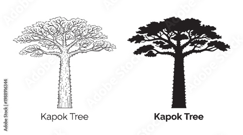 An illustration of Kapok Tree in two styles line art with silhouette vector