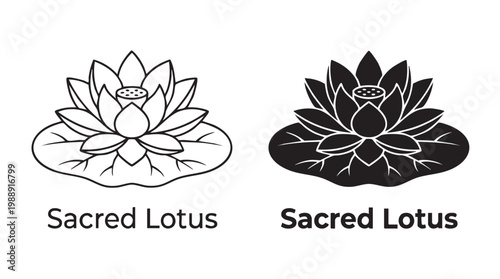 Sacred lotus flower logo in black and white line art with silhouette vector