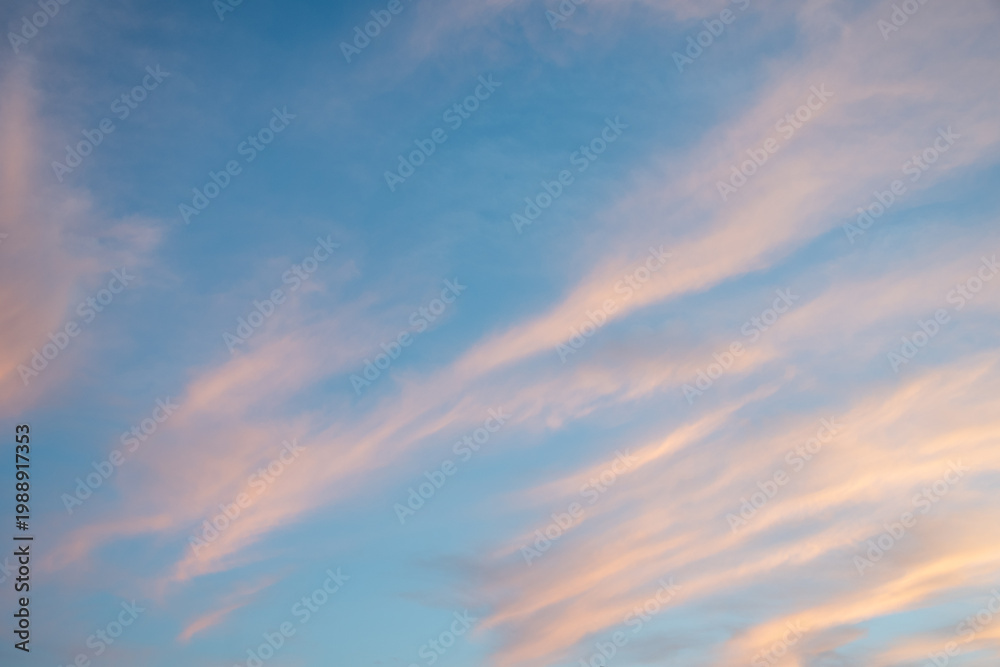 Fototapeta premium 夕陽を受けオレンジ色に輝く雲