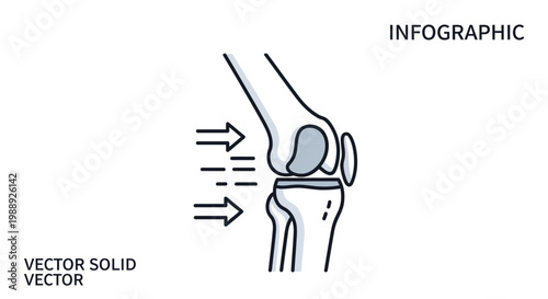 Detailed illustration of human knee joint.