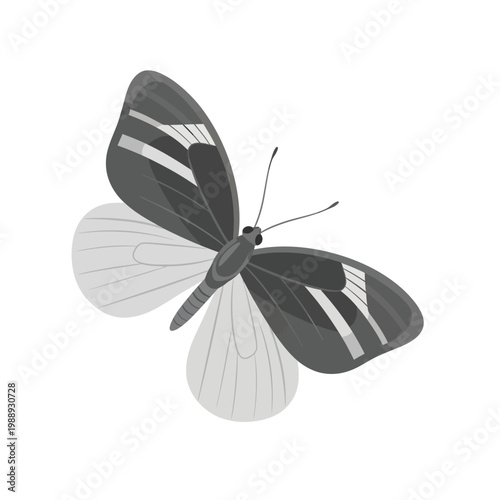 A grayscale illustration of a butterfly with striped wings is displayed against a white background.