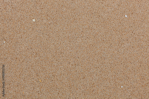 Close-up of sandy beach texture in Thailand. Natural brown sand grains forming a pattern. Tropical beach surface with scattered small white shells.