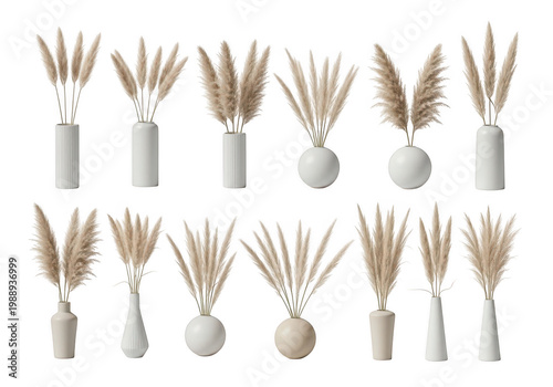 Collection of decorative pampas grass arrangements displayed in various minimalist ceramic vases
