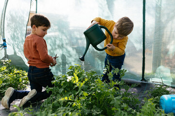 Children learning gardening in greenhouse watering plants