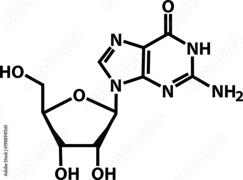 Guanosine molecular chemical formula icon. Guanosine chemical formula science sign. Guanosine structure of Caffeine symbol. flat style.