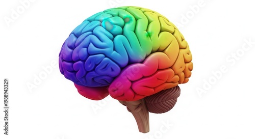 A vibrant spectrum human brain model illustrating complex thought and cognitive functions