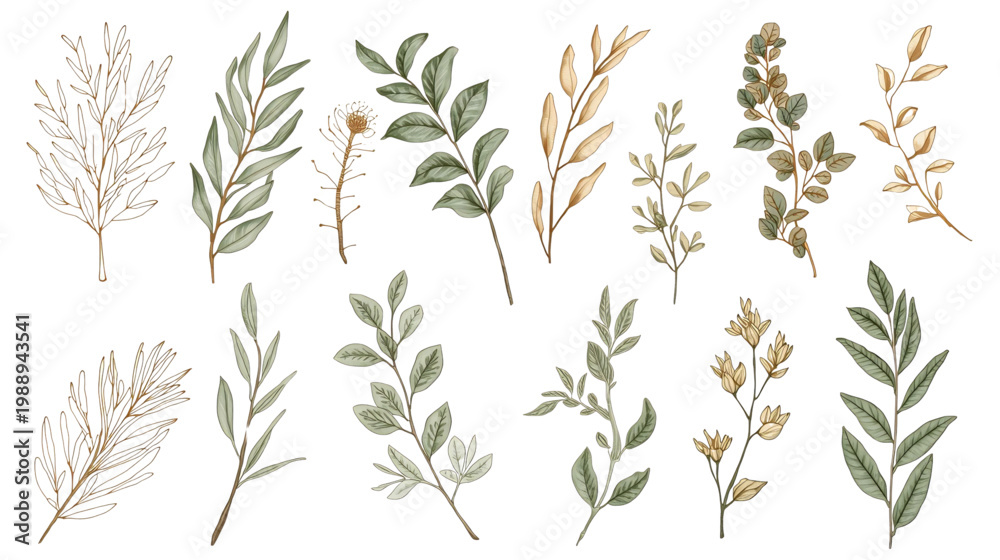 Fototapeta premium Botanical Elegance: Exquisite watercolor illustrations of delicate leaves and branches, capturing the essence of natural beauty.