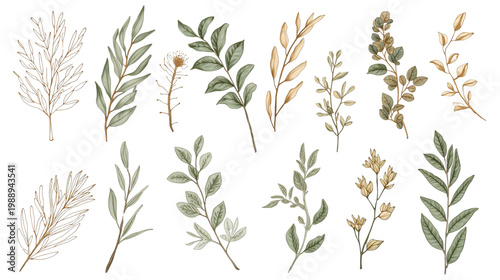 Botanical Elegance: Exquisite watercolor illustrations of delicate leaves and branches, capturing the essence of natural beauty.