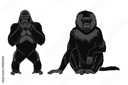 Gorilla and monkey illustration with primate family wildlife illustration