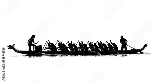 Dragon Boat Racing Team Rowing Silhouette on White Background