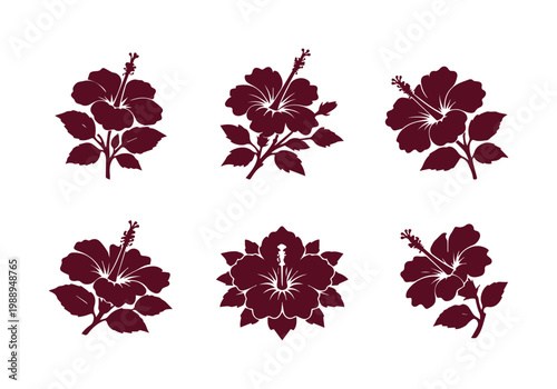 Set of 6 Red Hibiscus Flower Vector Illustrations isolated PNG with Transparent Background