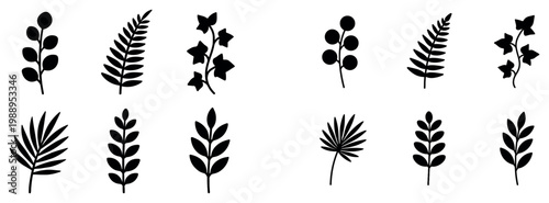 Nature icons with leaf fern palm minimal silhouette