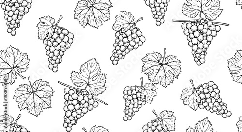 Hand-drawn outline of grape bunches and leaves forming a rustic repeating vector graphic pattern.