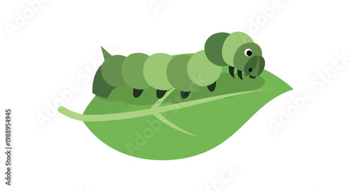 Green Caterpillar on Leaf.