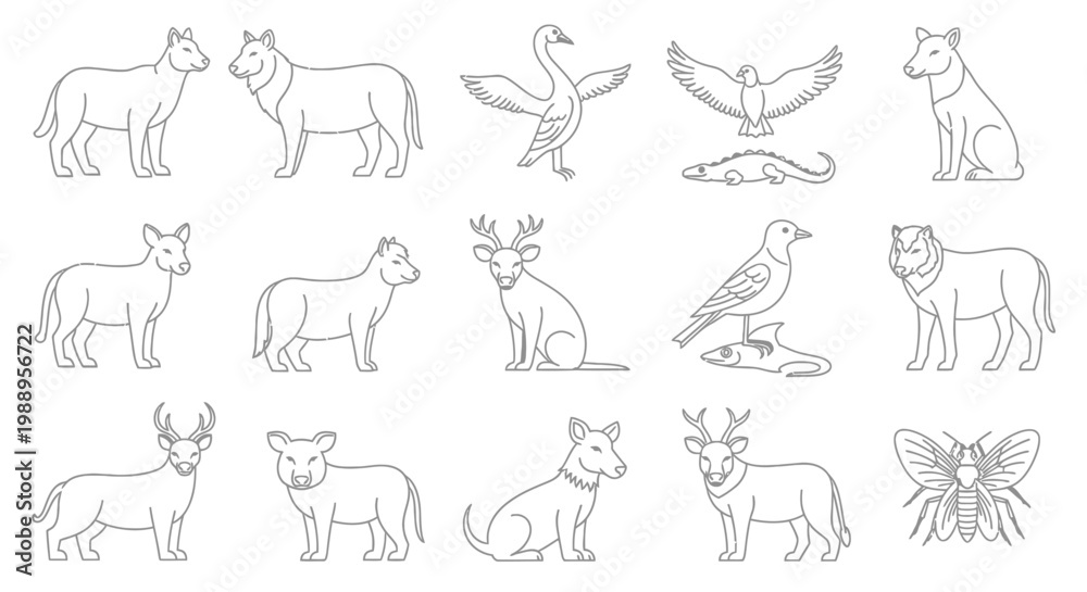 Fototapeta premium Various Animal Line Drawings.