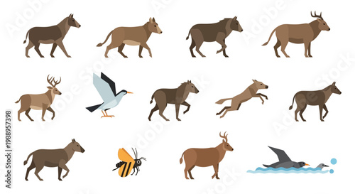 Various Animals in Motion.