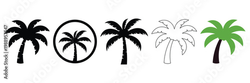 Palm tree icon set with solid silhouette, circle logo, line art, and flat color styles for tropical branding.