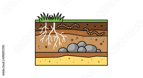 Soil Layers with Roots.