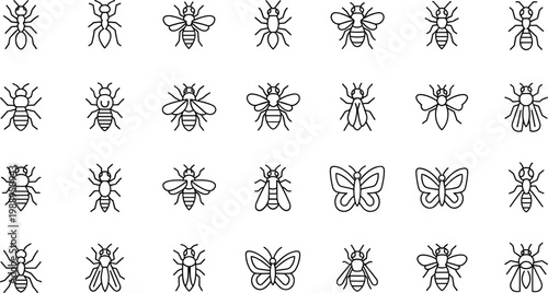 Insect vector icons showing ants, bees, flies, butterflies, and wing variations for nature and identification design