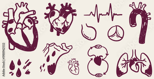 Collection of hand-drawn medical illustrations depicting the human heart, lungs, and circulatory system with ECG line and blood drops.