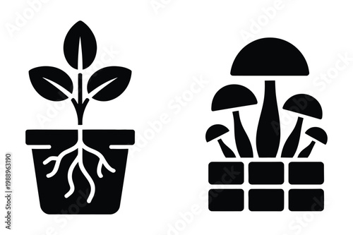 Potted plant with roots and basket of mushrooms vector icons, gardening
