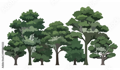 Lush garden shade trees vector leafy canopy landscape nature illustration