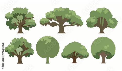 Large garden trees vector shade trees leafy canopy nature illustration