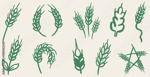 Collection of stylized green wheat ears and grains, isolated on a light background.