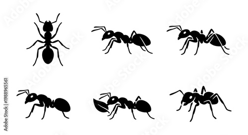 Black ant silhouette icons, 6 insect vector set, worker ant pest control graphics