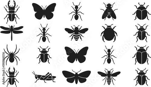Big collection of black vector insect silhouettes including butterfly bee beetle spider and grasshopper isolated on white background for nature and science graphic design