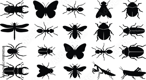 Big collection of detailed black vector insect silhouettes including praying mantis butterfly beetle spider and grasshopper isolated on white background for nature graphic design