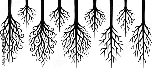 Big collection of nine black vector tree root silhouettes including curly fibrous and geometric shapes isolated on white background for nature graphic design