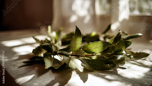 A close-up shot of a verdant laurel wreath on a textured surface, bathed in soft, natural sunlight streaming through a window
