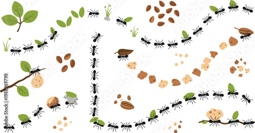 Ant trail vector icons showing insects carrying leaves, seeds, food, and twigs in cooperative paths and organized movement