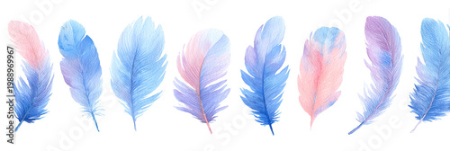 Watercolor illustration of seven feathers in shades of blue and pink. They have a soft, ethereal quality and are arranged horizontally