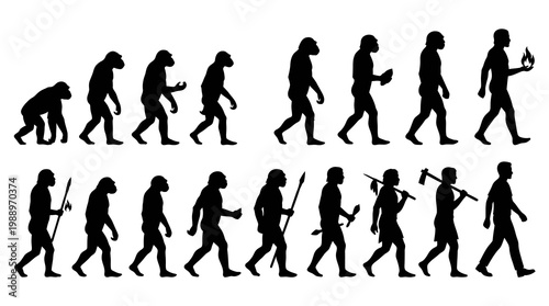 Human Evolution Silhouette Series: Primate to Modern Man Iconography