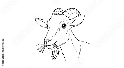 A detailed black and white line drawing of a goat's head with its mouth full of grass.