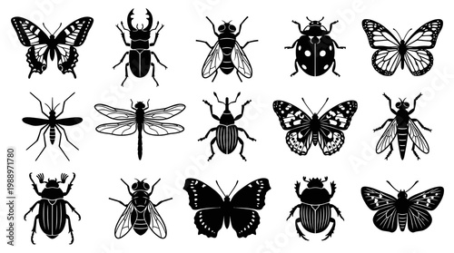 Nature Entomology Insects Silhouettes Icons Set. Bugs, Butterflies, Beetles, Flies, Dragonflies Collection